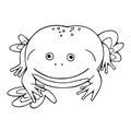 Outline BudgettsÃÂ frog. Funny toad with smile on cute muzzle. Exotic amphibian, tropical animal Royalty Free Stock Photo